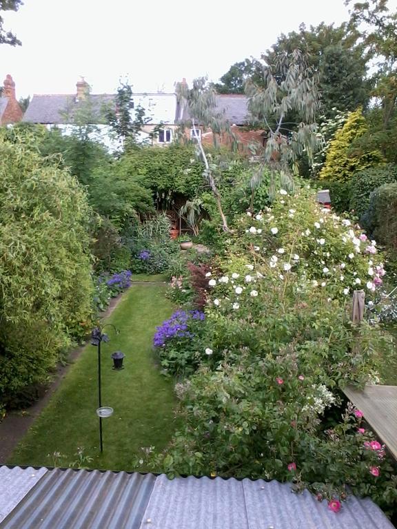 The Terrace Bed and Breakfast Iffley Exteriör bild