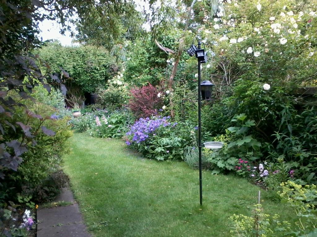 The Terrace Bed and Breakfast Iffley Exteriör bild