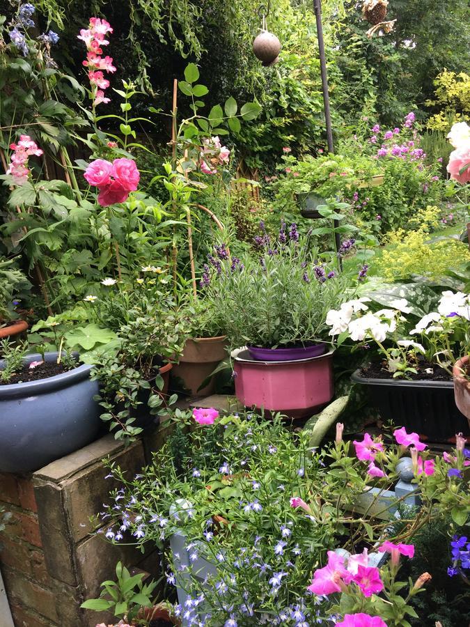 The Terrace Bed and Breakfast Iffley Exteriör bild