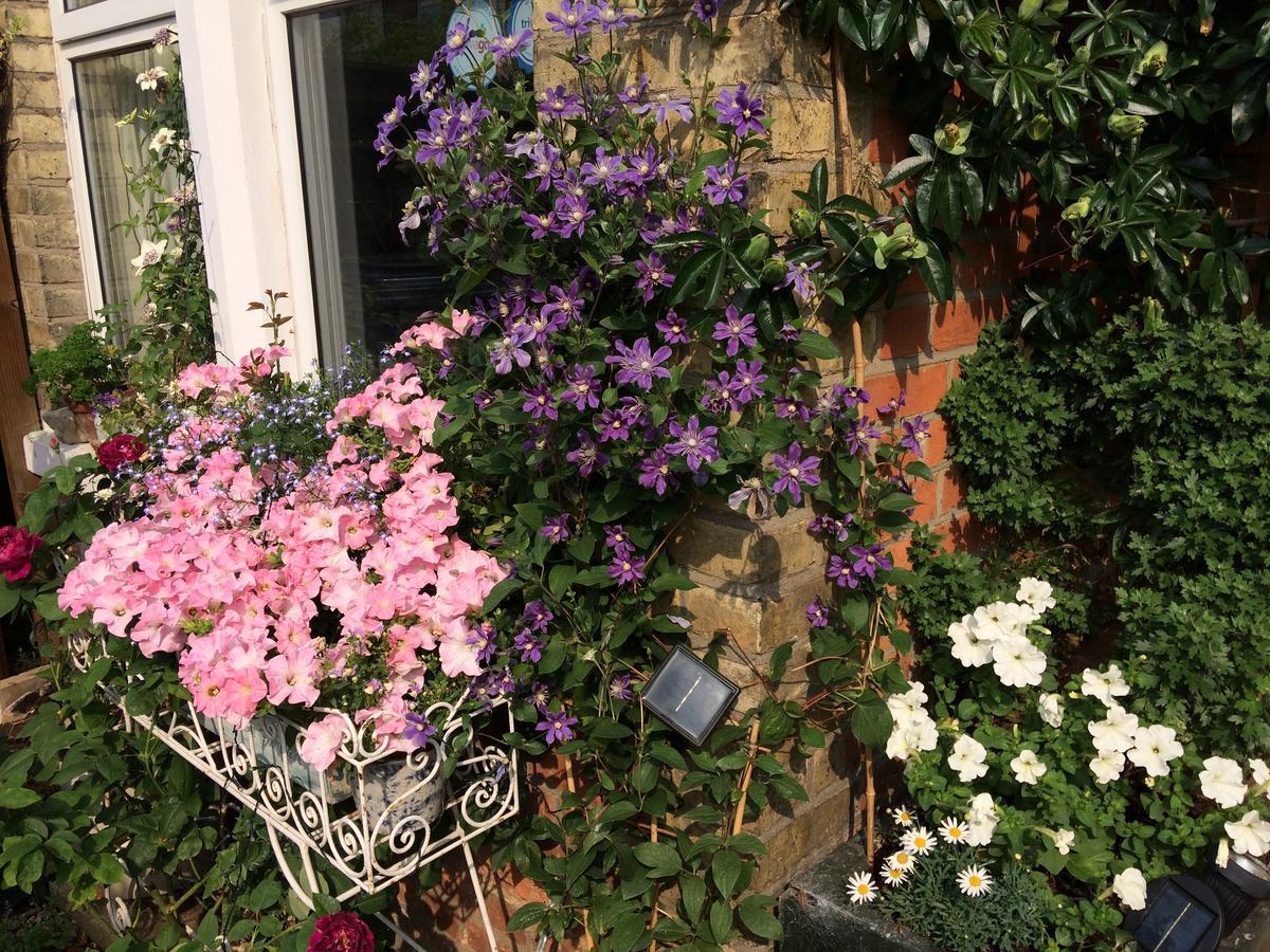 The Terrace Bed and Breakfast Iffley Exteriör bild