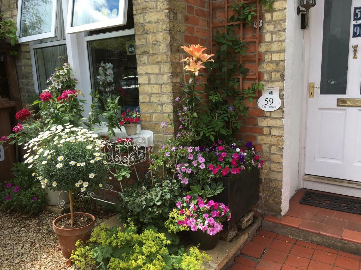 The Terrace Bed and Breakfast Iffley Exteriör bild