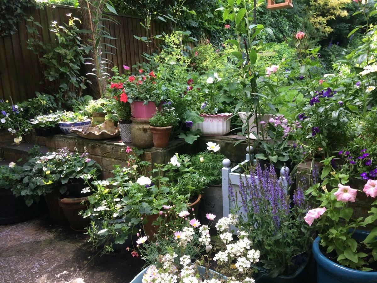 The Terrace Bed and Breakfast Iffley Exteriör bild